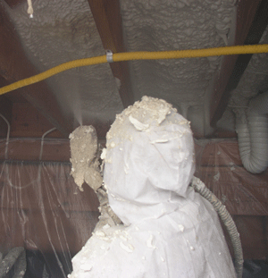 Savannah GA crawl space insulation