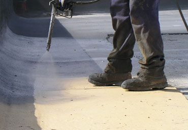 Coating systems over Savannah spray foam roof systems